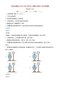 北京市海淀区2024_2025学年高二物理上学期10月月考试题含解析