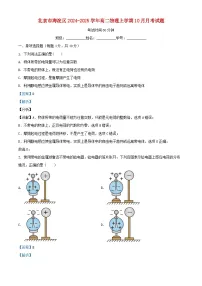 北京市海淀区2024_2025学年高二物理上学期10月月考试题含解析