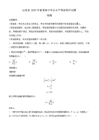2025届山东省临沂市临沭县高三下学期三模物理试题（解析版）