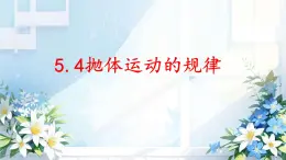 高中物理人教版 (2019)  必修 第二冊(cè)5.4 拋體運(yùn)動(dòng)的規(guī)律 課件