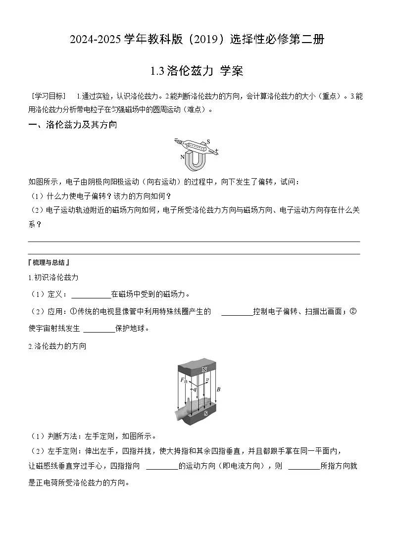 2024-2025学年物理教科版(2019)选择性必修第二册 1.3洛伦兹力 学案第1页