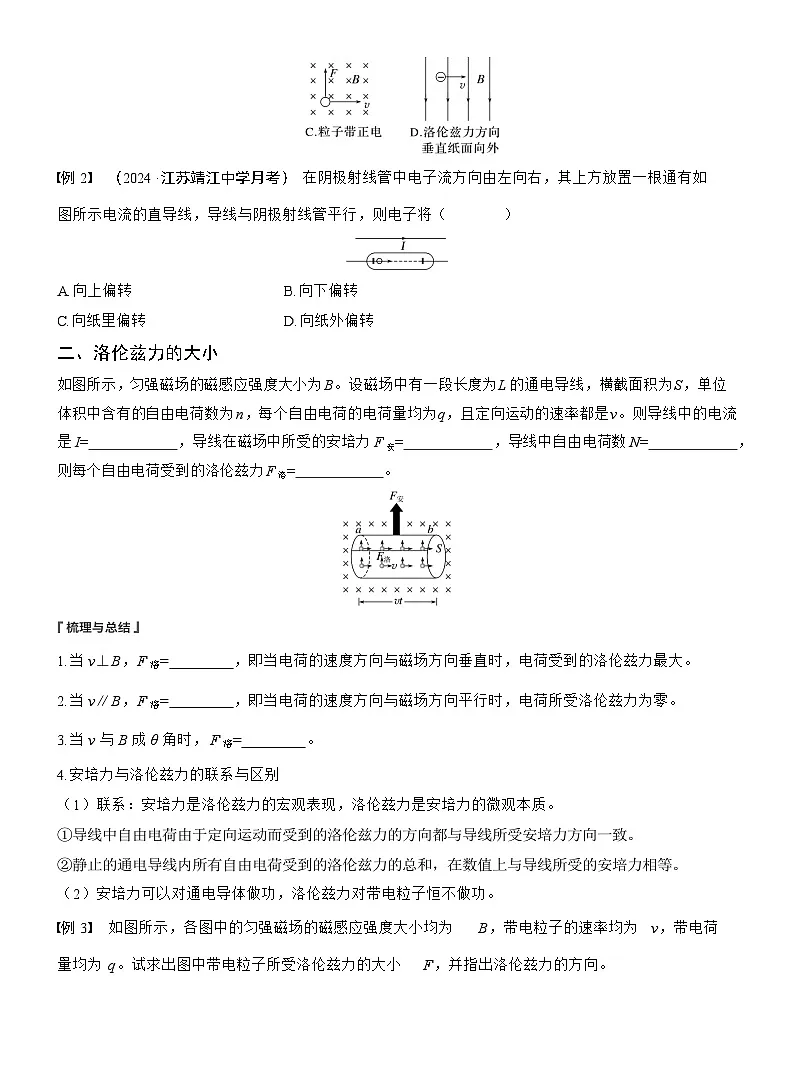 2024-2025学年物理教科版(2019)选择性必修第二册 1.3洛伦兹力 学案第3页