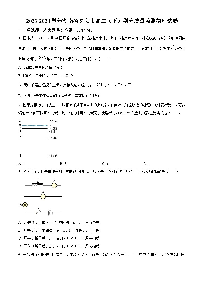 精品解析:湖南省浏阳市2023-2024学年高二下学期期末质量监测物理试卷(原卷版)第1页