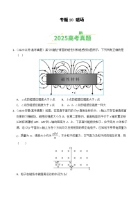 2025年高考物理真题分类汇编:专题10 磁场(全国通用)(原卷版)
