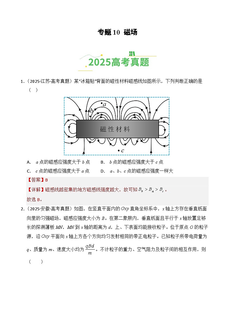 2025年高考物理真题分类汇编:专题10 磁场(全国通用)(解析版)第1页