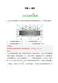 2025年高考物理真题分类汇编:专题10 磁场(全国通用)(解析版)