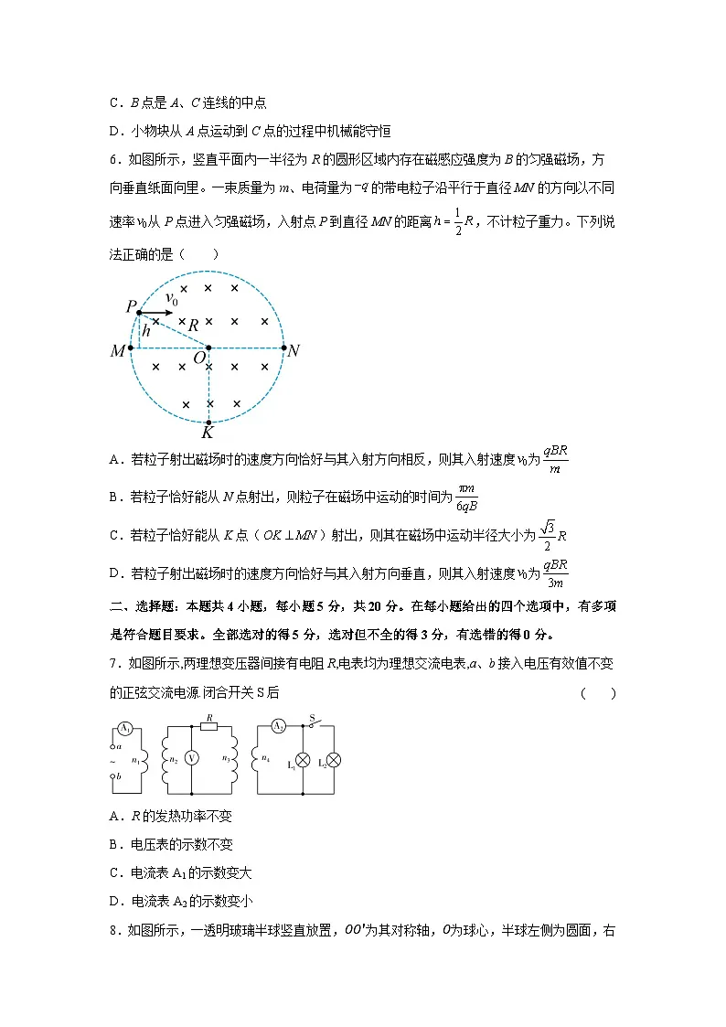 2025届湖南省常德市高三下学期5月底最后预测练习(适合优生)物理试卷第3页
