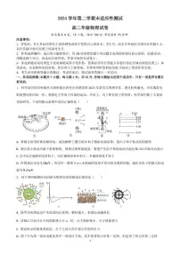 广东省广州市培正中学2024-2025学年高二下学期期末物理试题(含答案)