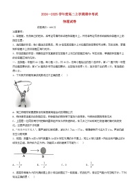 湖北省新高考联考2024_2025学年高二物理上学期11月期中联考试题含解析