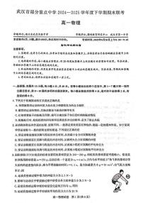 湖北武汉市部分重点中学2024-2025学年高一下学期期末联考物理试卷