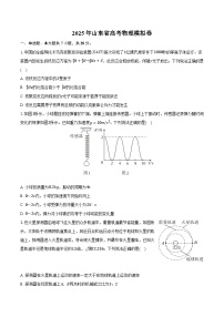 2025年山东省高考物理模拟卷（解析版） (1)