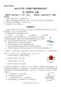 物理-浙江省温州市新力量2024-2025学年高二下学期6月期末试题+答案