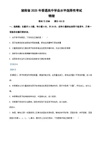 2025年高考湖南卷物理真题(解析版)