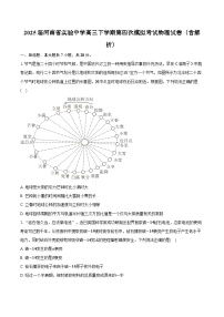 2025届河南省实验中学高三下学期第四次模拟考试物理试卷（含解析）