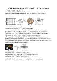 河南省南阳市部分校2024-2025学年高二（下）期末物理试卷-普通用卷