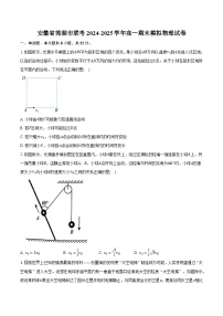 安徽省芜湖市联考2024-2025学年高一期末模拟物理试卷