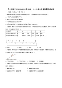 四川省遂宁市2024-2025学年高一（上）期末质量检测物理试卷 （解析版）