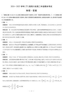 河南省南阳市六校2024-2025学年高二下学期期末考试物理试卷（PDF版附解析）
