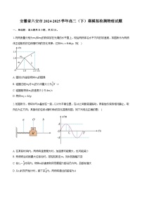 安徽省六安市2024-2025学年高二（下）期模拟检测物理试题
