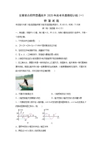 【物理】2025届安徽省普通高中高三下学期高考全真模拟训练(一)试题（解析版）