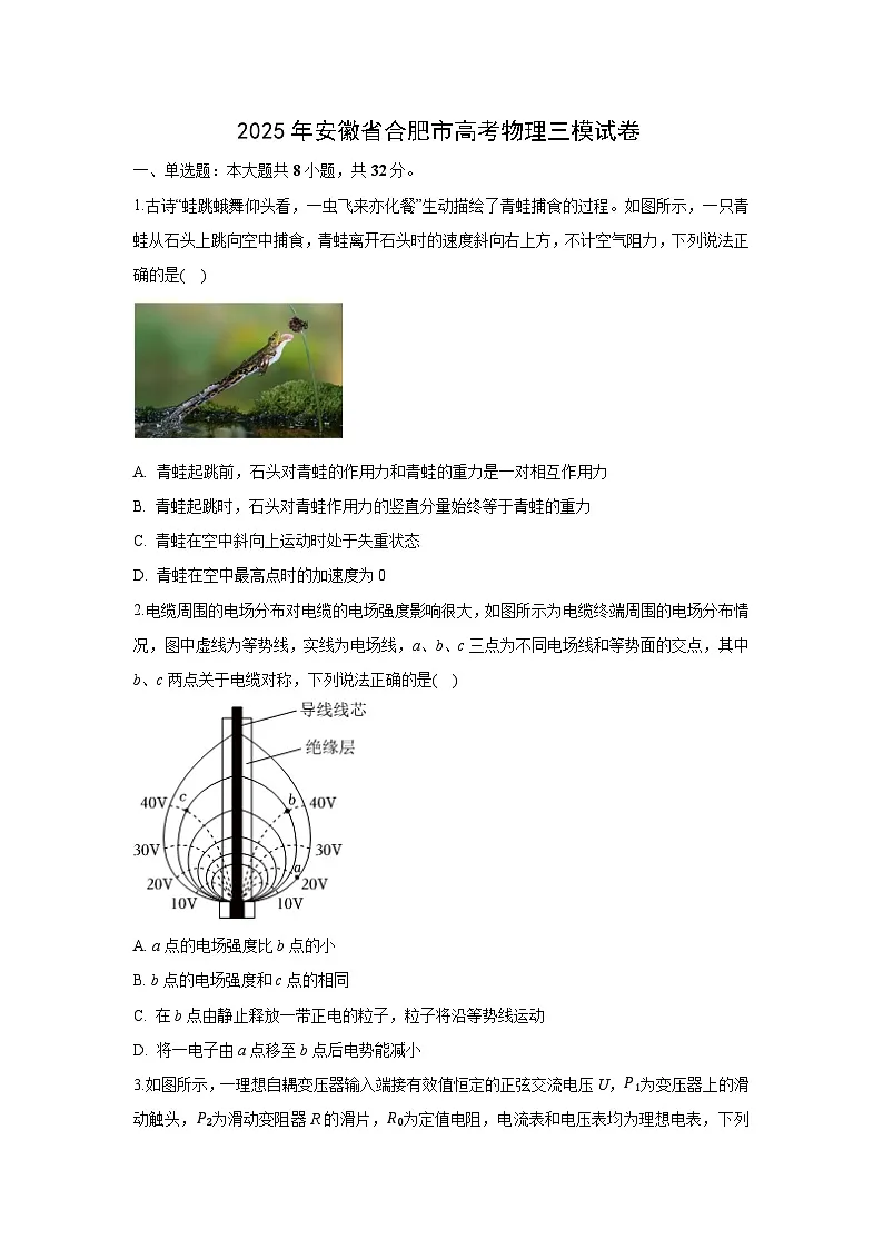 【物理】2025届安徽省合肥市高考三模试卷(解析版)第1页