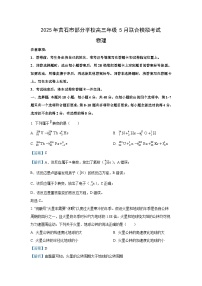 【物理】2025届湖北省黄石市部分学校高三下学期5月模拟考试试卷（解析版）