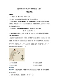 【物理】2025届陕西省咸阳市高三下学期高考模拟检测（三） 试题 （解析版）