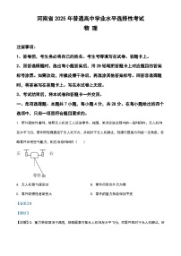 2025年高考真题物理河南卷（含解析）