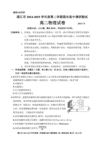 广东省湛江市2024-2025学年高二下学期期末调研考试物理试卷（含答案）
