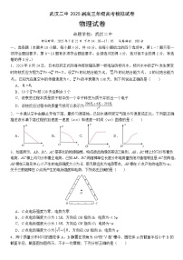 湖北省武汉二中2025届高三年级5月模拟考试物理试卷【含答案】