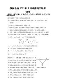 湖南省2025届2月高三下学期开学联考物理试题（含答案）