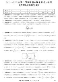 河南省金科·新未来2024-2025学年高二下学期期末联考考试物理含答案解析