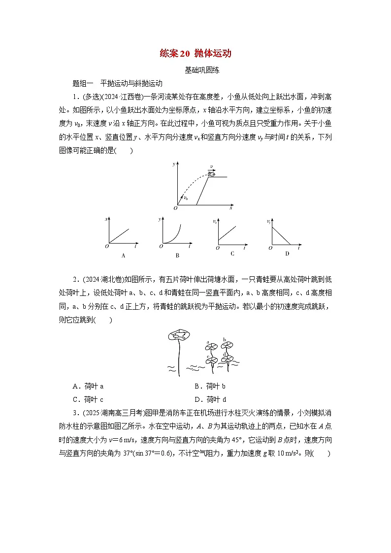 2026届高考物理一轮总复习提能训练练案20抛体运动第1页
