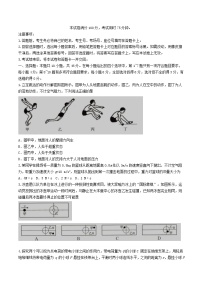 辽宁省抚顺市2025届高三物理上学期期末考试含解析