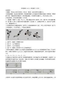 辽宁省抚顺市2025届高三物理上学期期末考试（附答案）