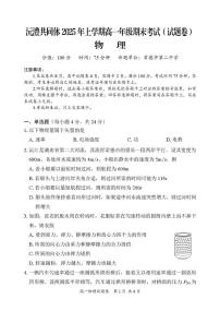 湖南省沅澧共同体2024-2025学年高一下学期期末考试物理试题(PDF版,含解析)含答案解析