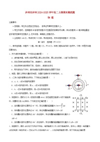 四川省泸州市2024_2025学年高二物理上学期1月期末试题
