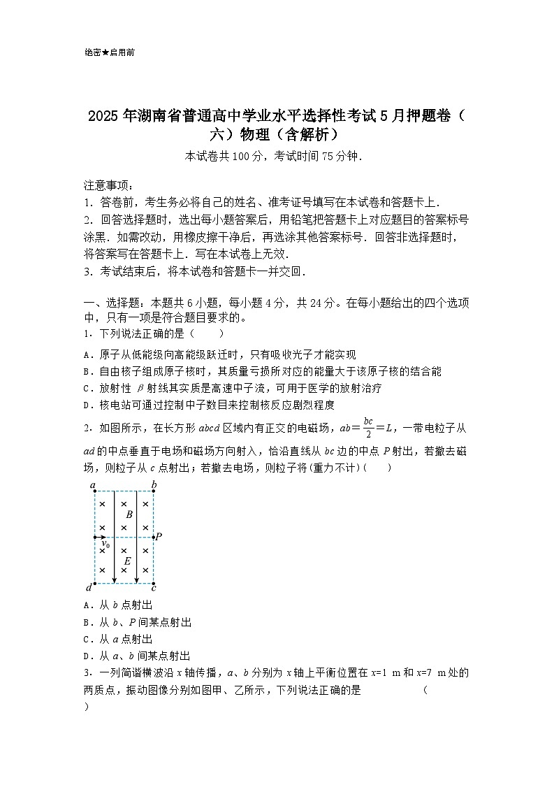 2025年湖南省普通高中学业水平选择性考试5月押题卷(六)物理(含解析)第1页