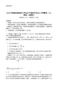 2025年湖南省普通高中学业水平选择性考试5月押题卷（七）物理（含解析）