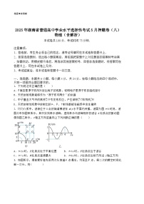 2025年湖南省普通高中学业水平选择性考试5月押题卷(八)物理(含解析)