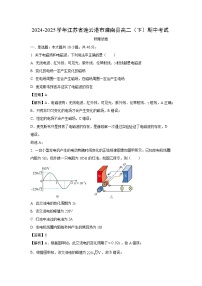 江苏省连云港市灌南县2024-2025学年高二下学期期中考试物理试卷（解析版）