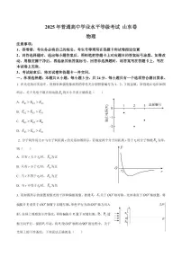 2025年山东省高考招生统一考试高考真题物理试卷（真题+答案）