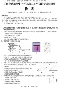 四川省乐山市2024-2025学年高二下学期期末考试物理试卷（PDF版附答案）