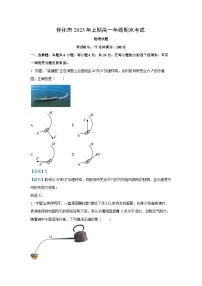 【物理】湖南省怀化市2024-2025学年高一下学期期末考试试题（解析版）