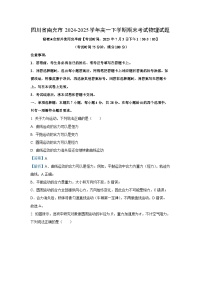 【物理】四川省南充市2024-2025学年高一下学期期末考试试题（解析版）