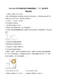 2024-2025学年河南省洛阳市强基联盟高二（下）联考物理试卷（7月）（含解析）