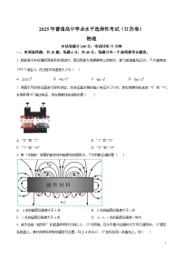 2025年高考江苏卷物理高考真题含答案解析（参考版）
