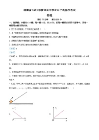 2025年高考真题——物理（湖南卷）试卷（Word版附解析）