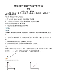 2025年高考真题——物理（湖南卷）试卷（Word版附解析）