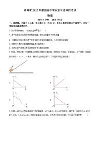 2025年高考真题——物理（湖南卷） 含答案